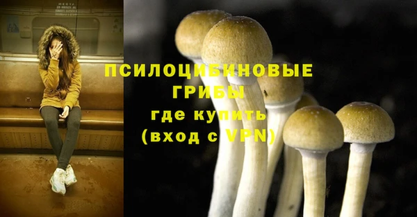гидра Бронницы