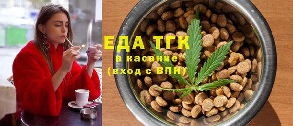 гидра Бронницы